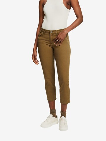 ESPRIT Slim fit Pants in Brown