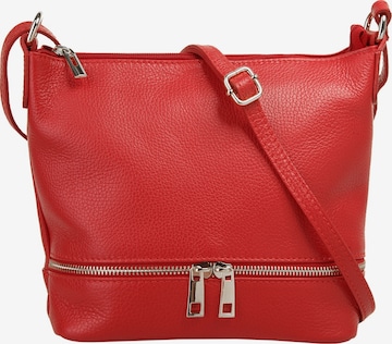 Cluty Crossbody Bag in Red: front