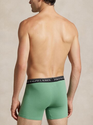 Polo Ralph Lauren Boxer shorts in Green