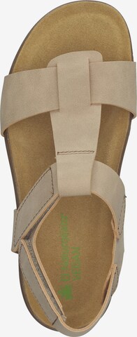 EL NATURALISTA Strap Sandals in Beige