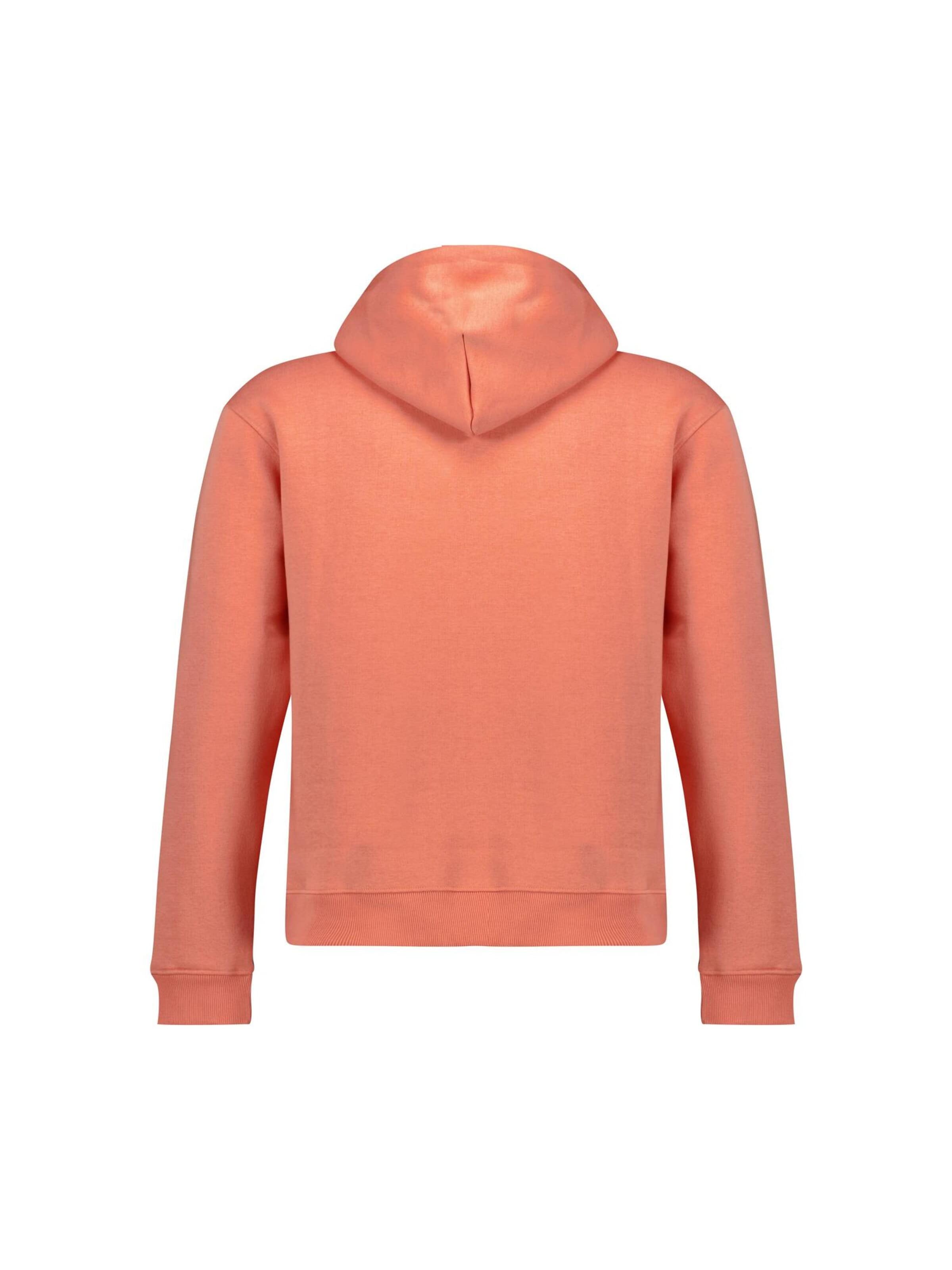 Deeluxe Sweatshirt ''BEN ' ' in Orange