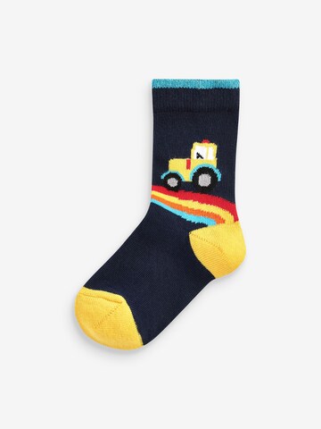 Next Socks '7er-Pack' in Mixed colors