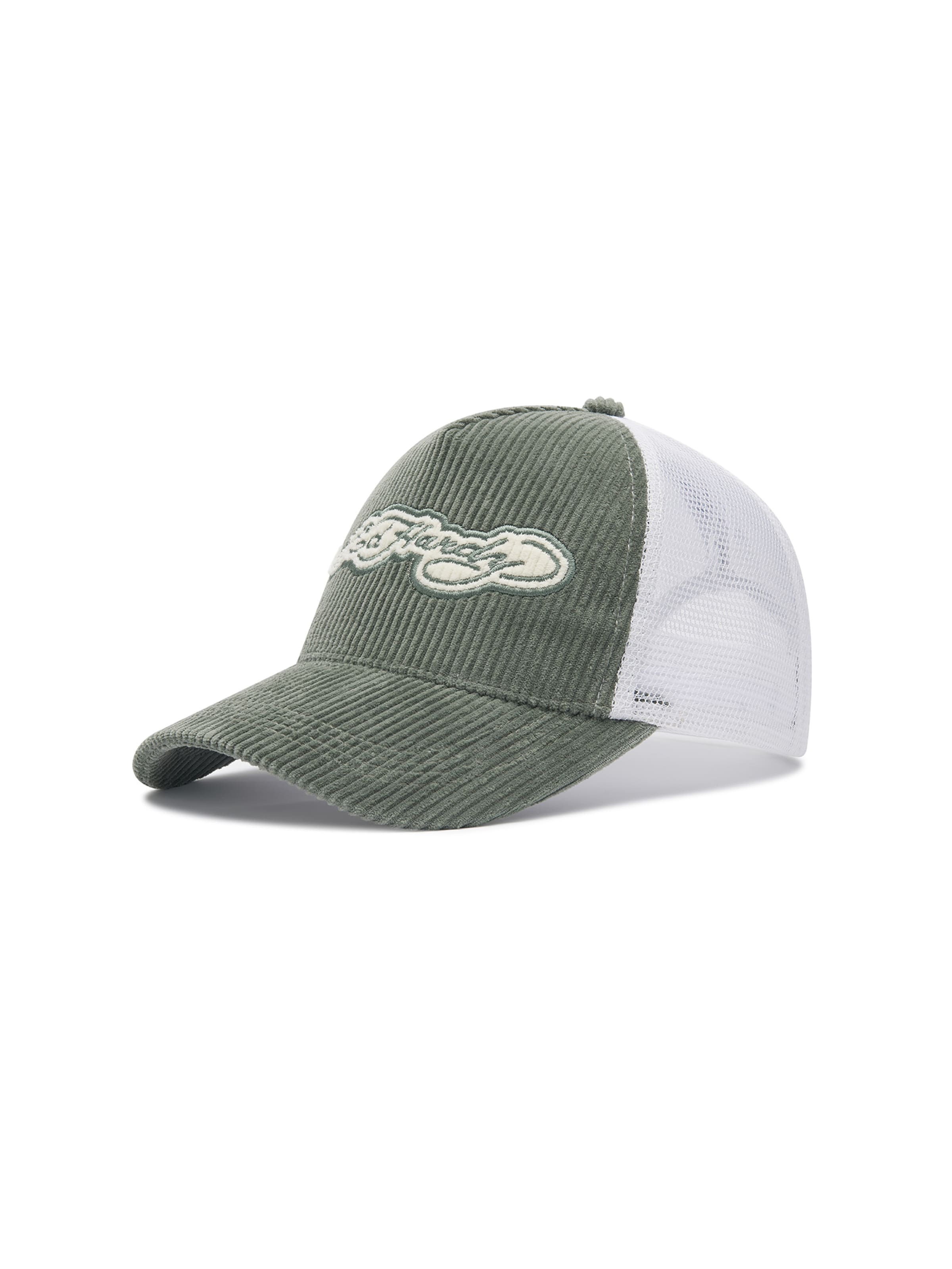 Cappello da baseball di Ed Hardy in grigio: frontale