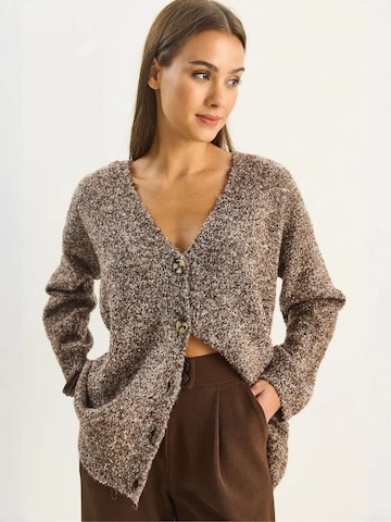 Bianco Lucci Gebreid vest in Bruin