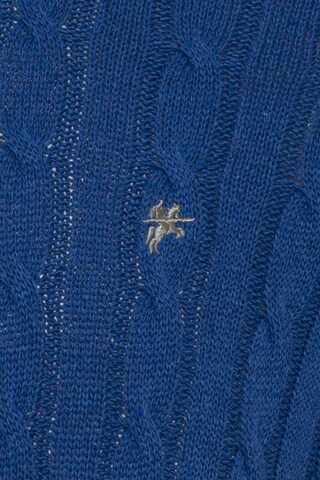 DENIM CULTURE Sweater 'Orion' in Blue