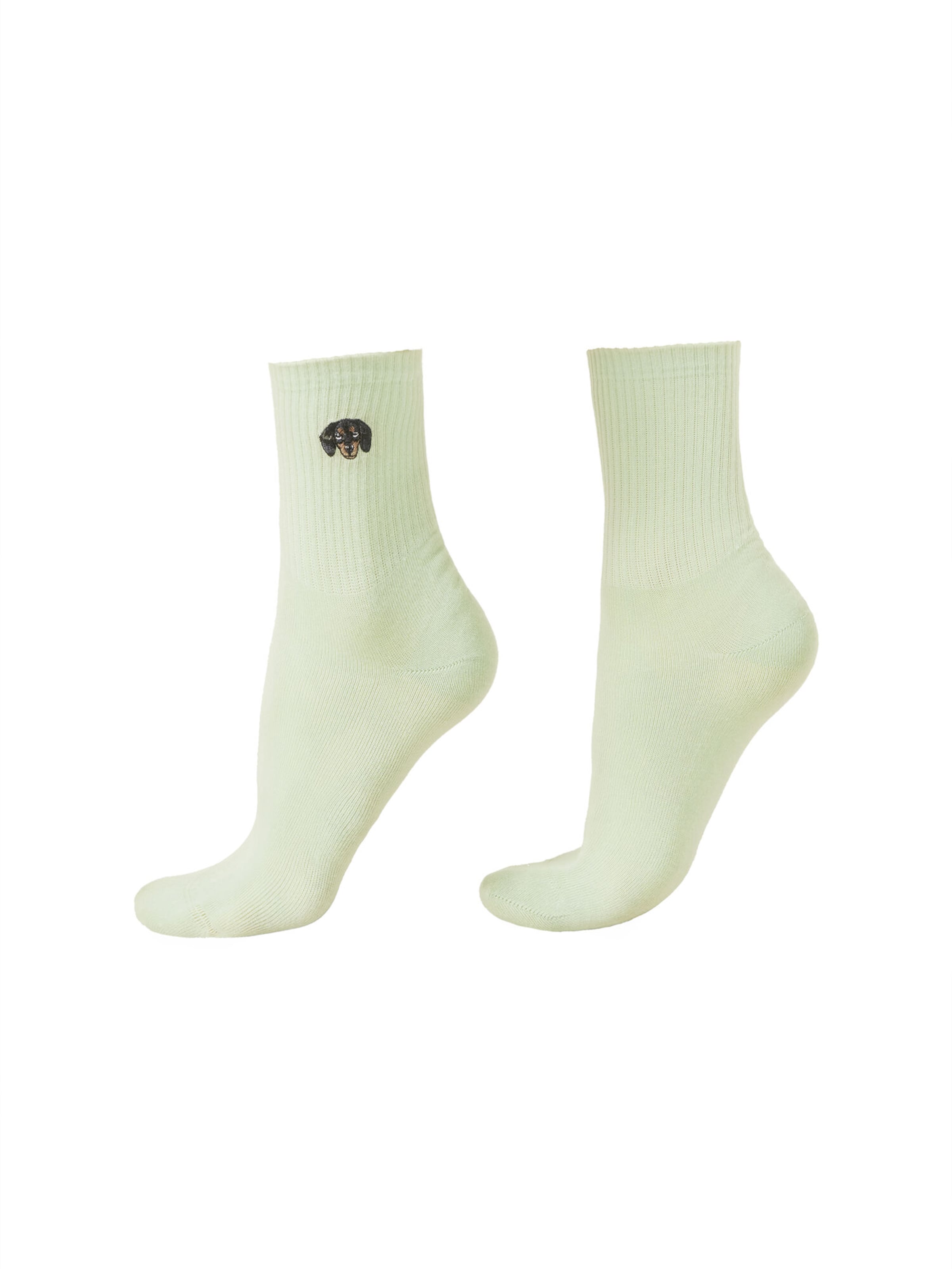 CALZEDONIA Socks 'Dog' in Green: front