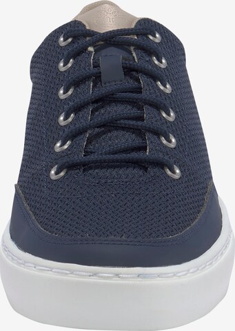 TIMBERLAND Sneaker in Blau