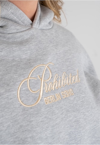 Prohibited Sweater in Grey