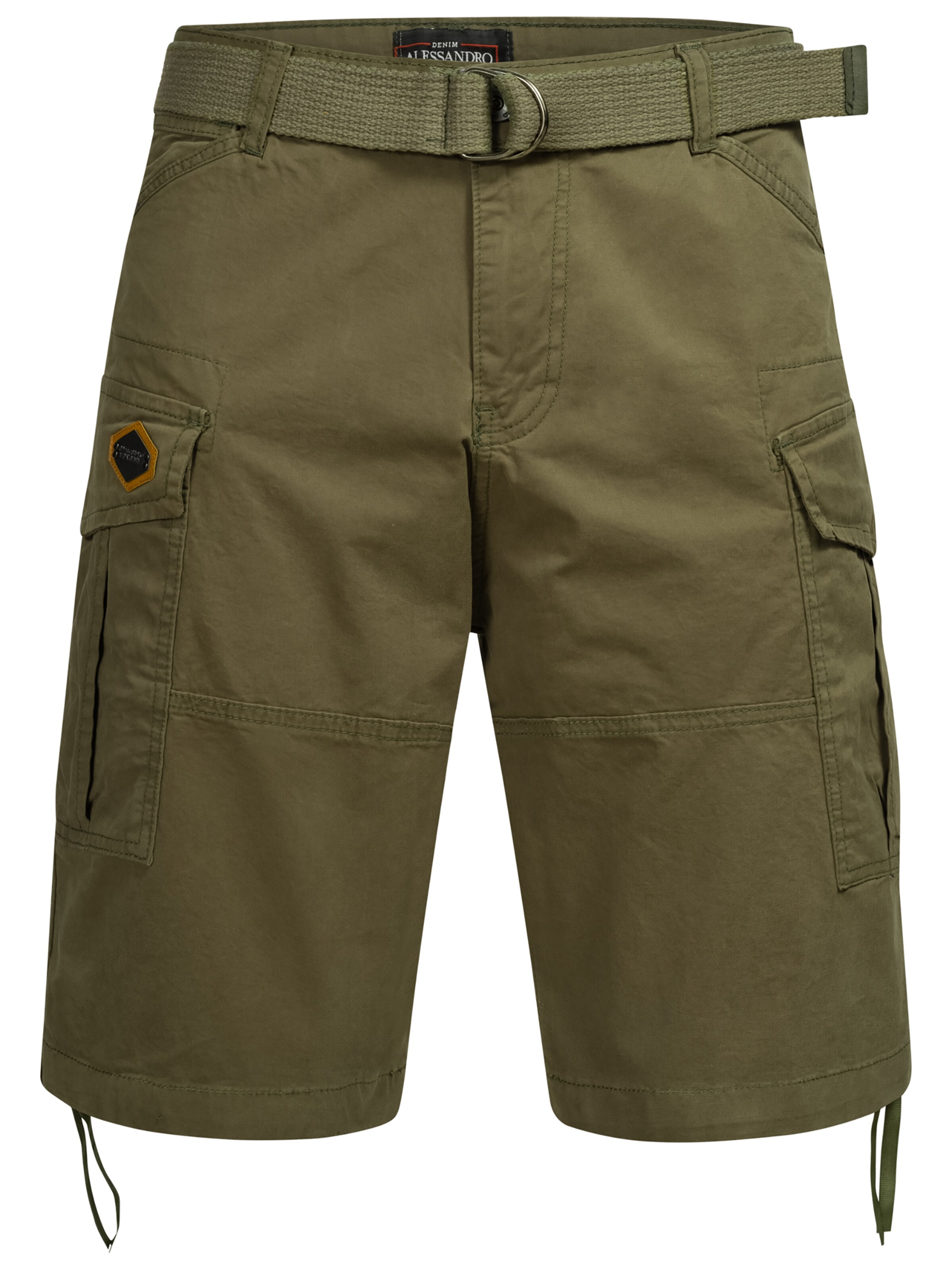 Alessandro Salvarini Shorts in Grün: Vorderseite