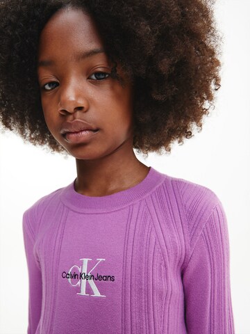 Calvin Klein Jeans Pulover | vijolična barva