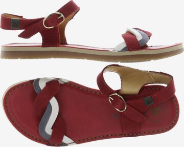 EL NATURALISTA Sandals & High-Heeled Sandals in 35 in Red: front