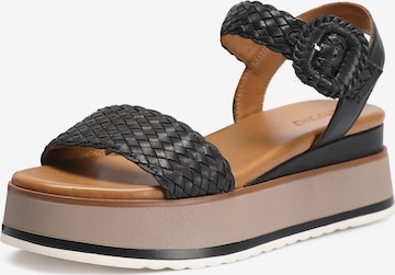 INUOVO Sandals in Black: front