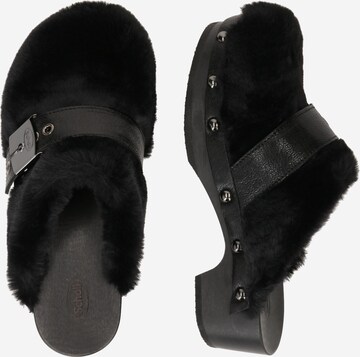 Clogs 'PESCURA ALASKA' di Scholl Iconic in nero