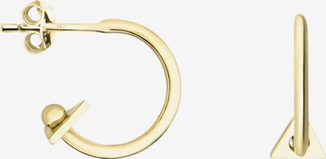 Sofia Milani Ohrringe in Gold: Vorderseite