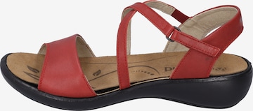 Westland Sandals 'Ibiza' in Red: front