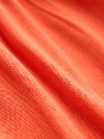 oranžinė Next Vasarinė suknelė