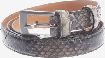 Reptile's House Gürtel XXL in Braun: Vorderseite