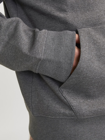 JACK & JONES Sweatshirt in Grey
