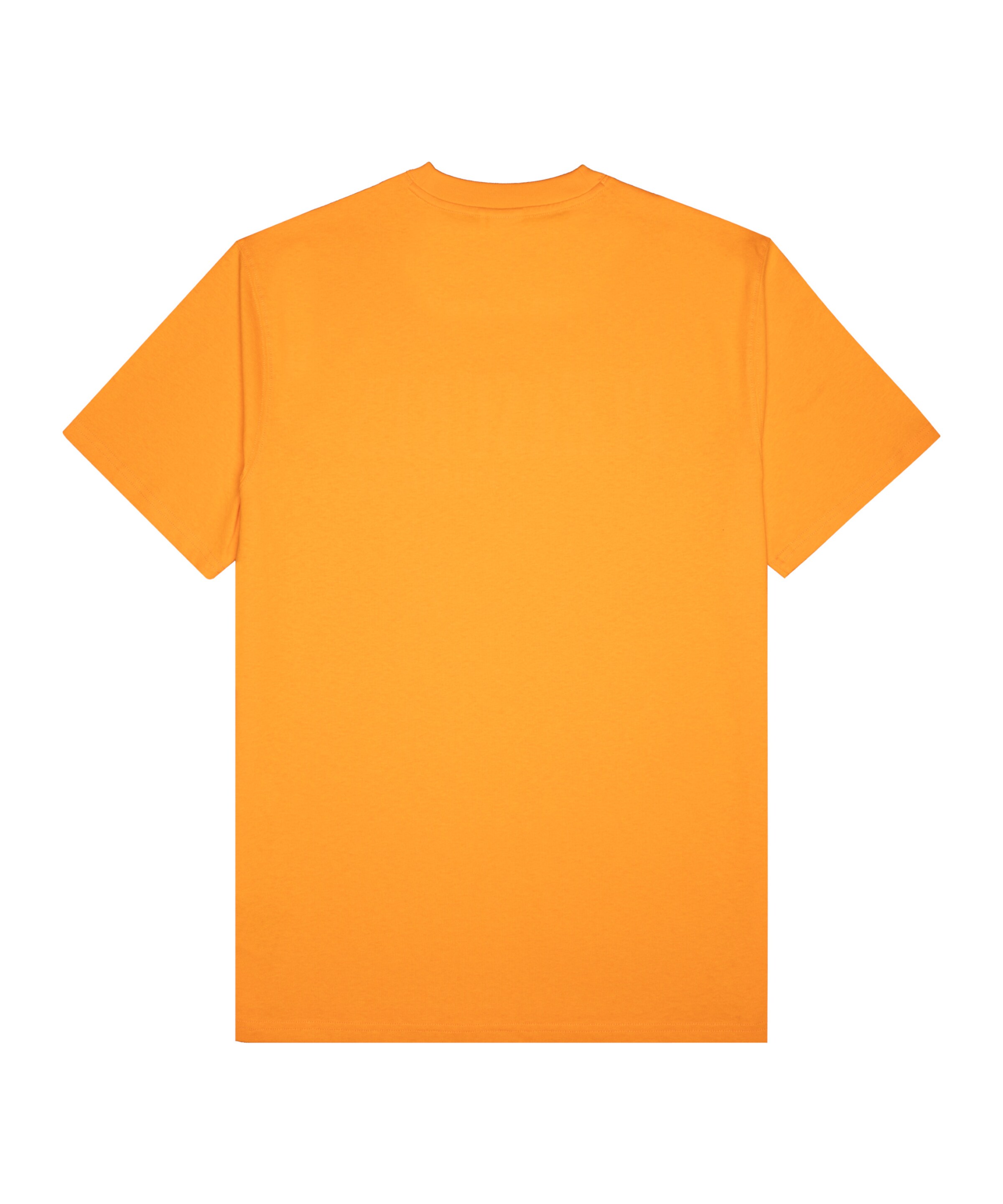 PUMA Funktionsshirt in Orange