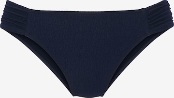 s.Oliver Bikini Bottoms in Blue: front