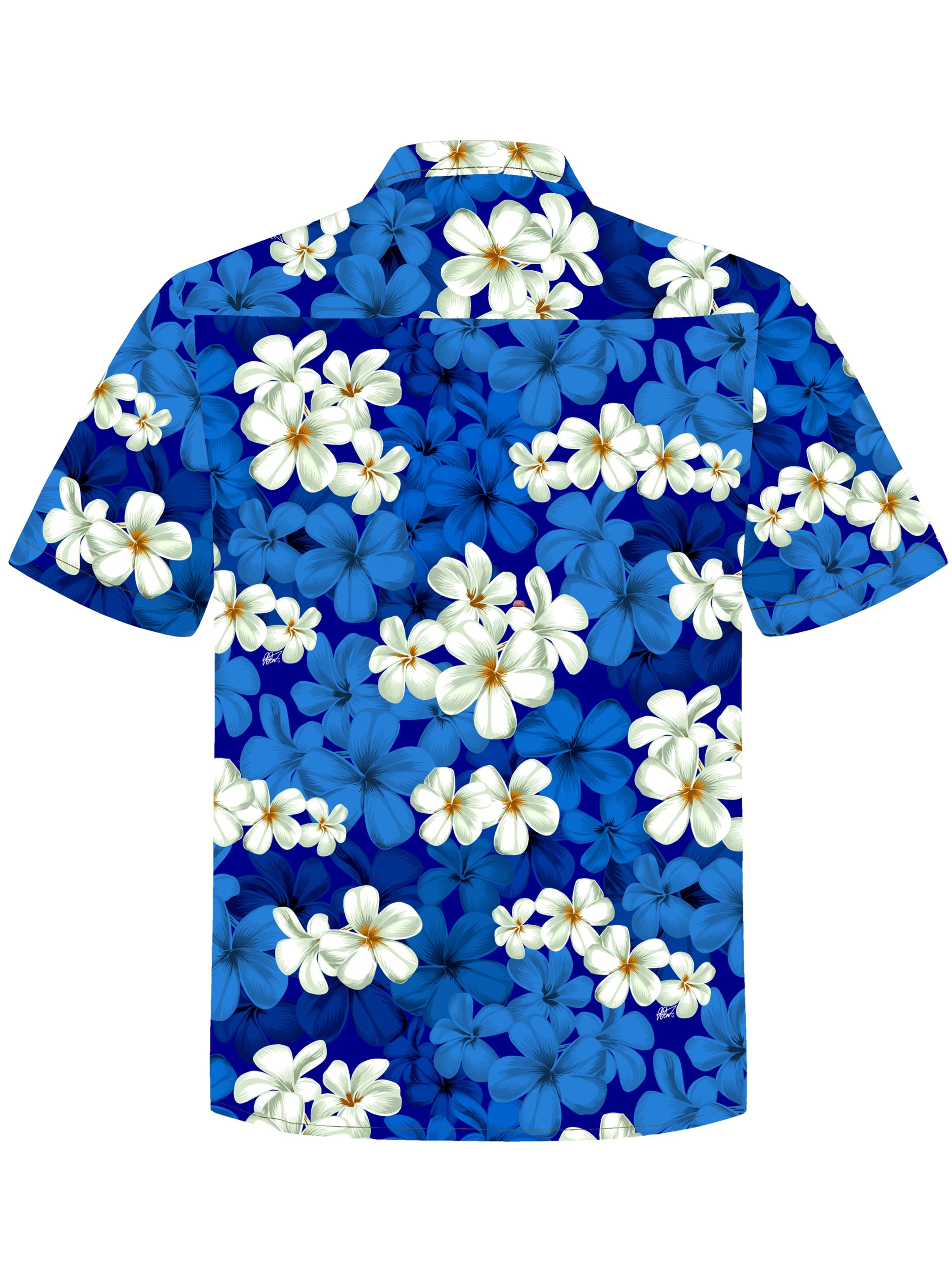 Hawaiihemdshop.de - Ajuste regular Camisa 'Hawaiihemd "Classic Blue"' en azul