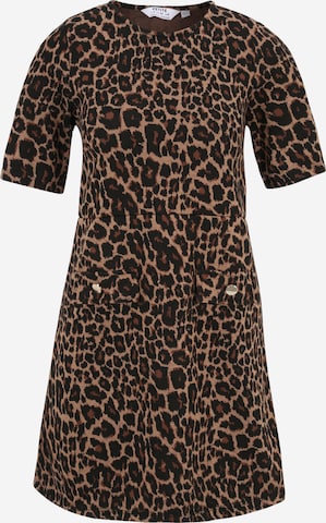 Dorothy Perkins Petite Dress in Brown: front