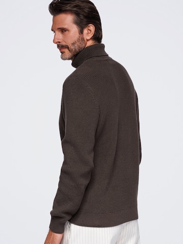 Ombre Sweater in Brown