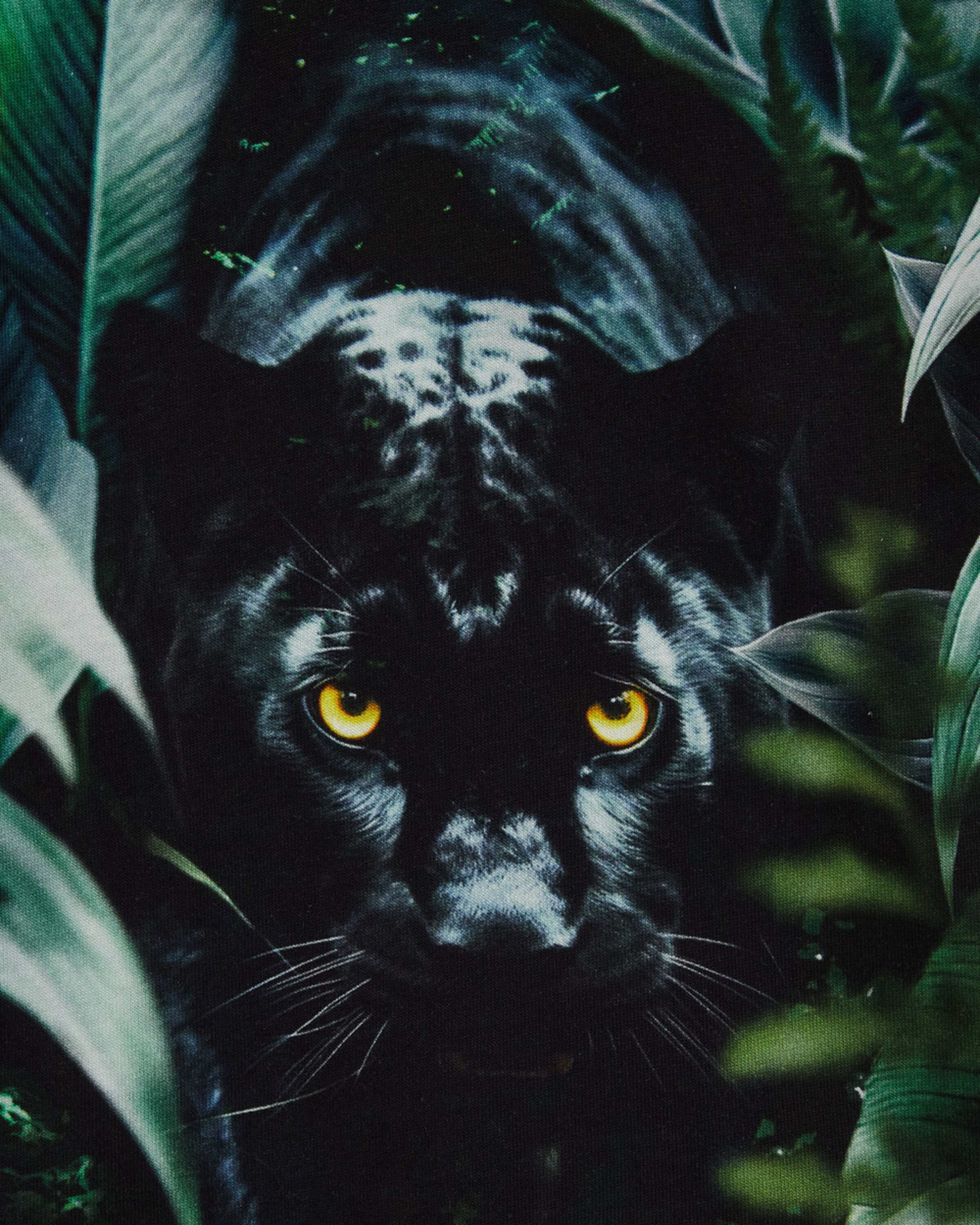 WE Fashion Футболка в Черный