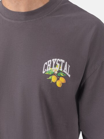 Crystal Paris Shirt 'Polo Club' in Grijs