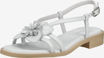 Sandales à lanières Nero Giardini en blanc : devant