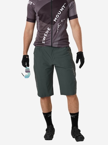 SWEDEMOUNT Regular Sporthose 'Core'‌‌‌‌‌‌‌‌‌ in Grün: Vorderseite