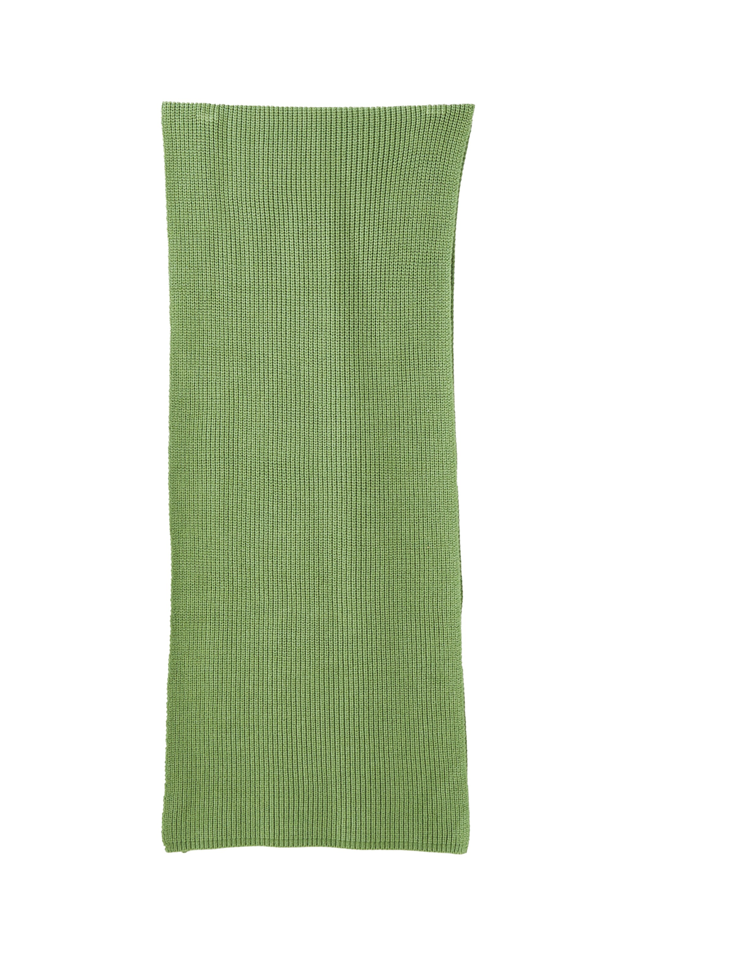 MSCH COPENHAGEN Scarf 'Galine Rachelle' in Green: front