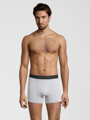 Albert Schäfer Boxershorts in Grau: predná strana