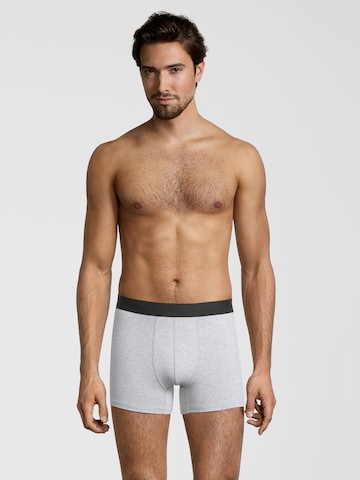 Albert Schäfer Boxer shorts in Grey: front