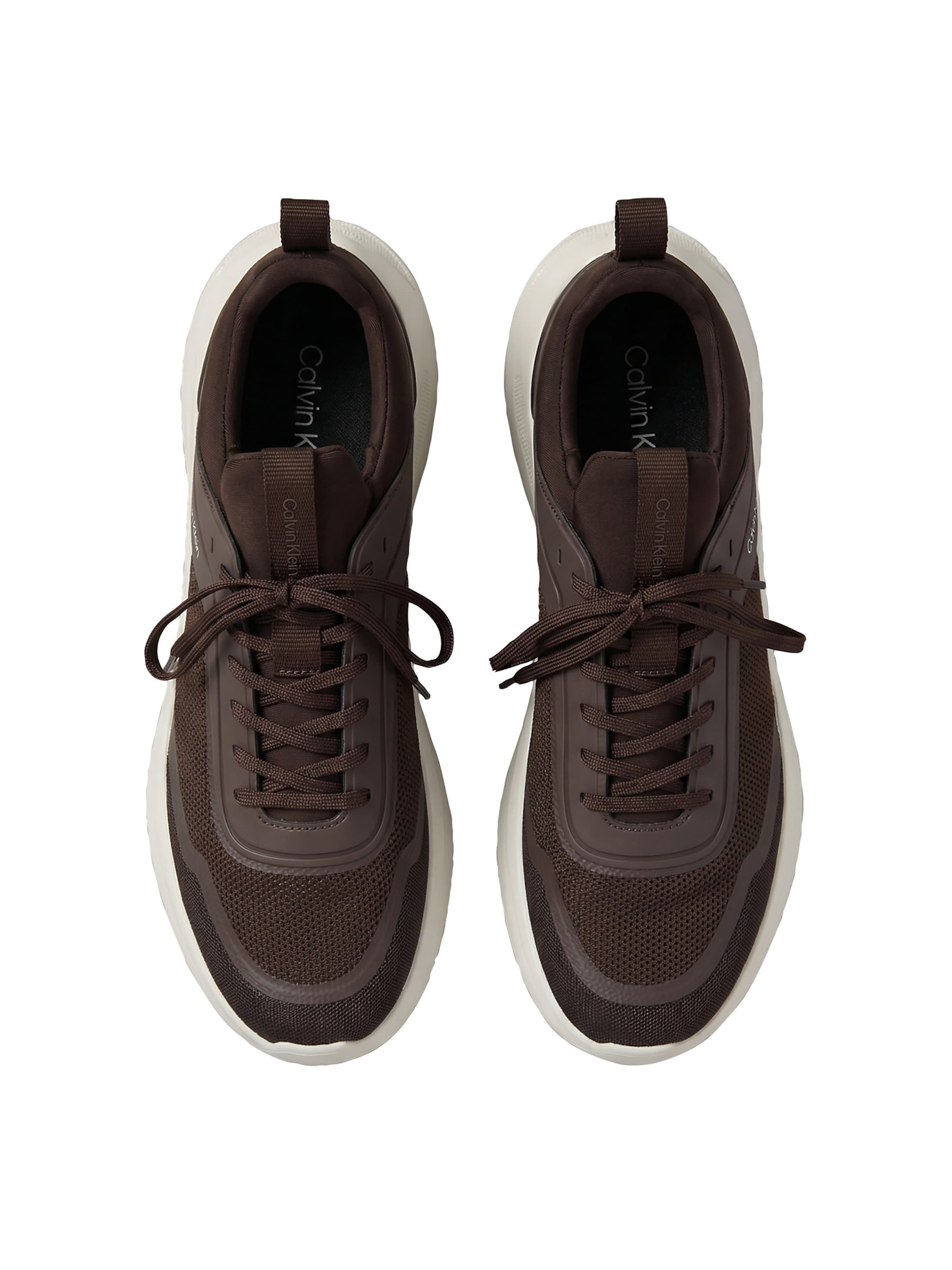 Baskets basses Calvin Klein en marron