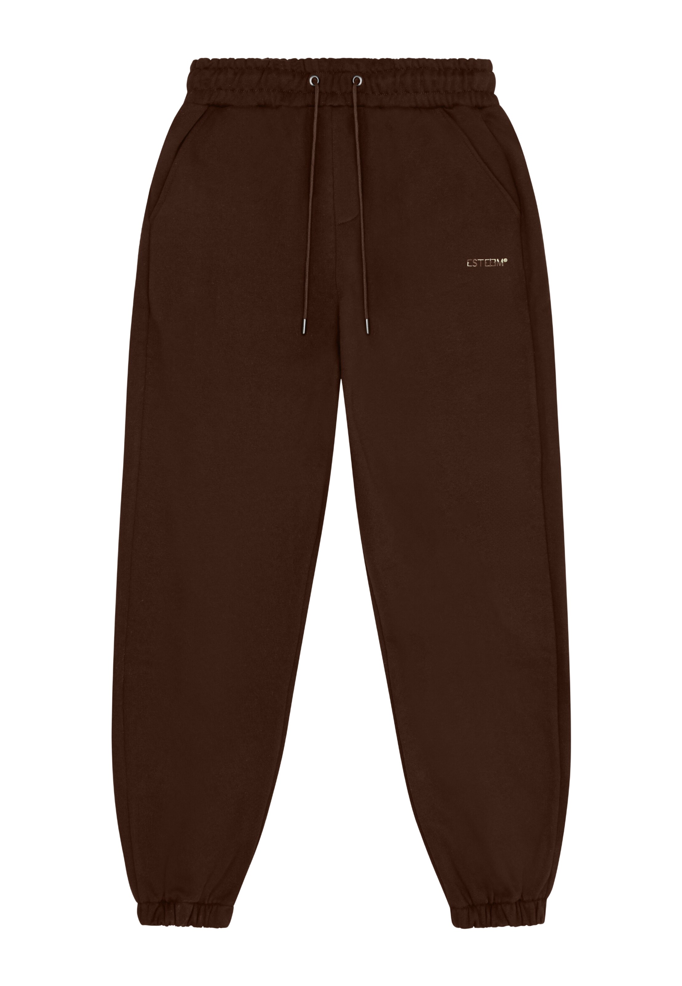 regular Pantaloni ' Essential 2.0 ' di ESTEEM in marrone: frontale