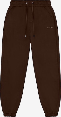 Pantalon ' Essential 2.0 ' ESTEEM en marron : devant