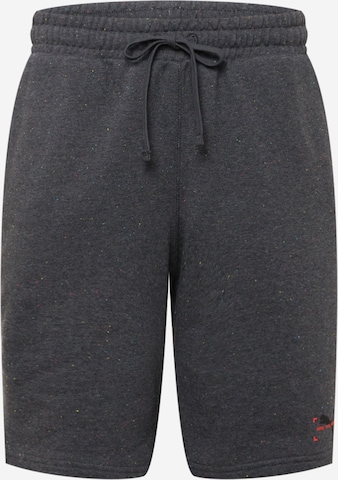 PUMA Pants in Grey: front