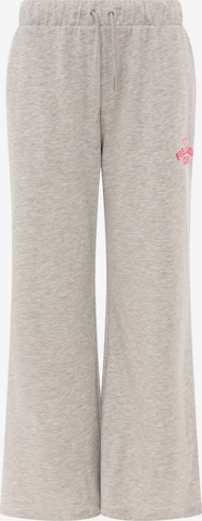 Regular Pantalon Zwillingsherz en gris : devant