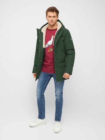 Derbe Winter Parka 'Festholm' in Green