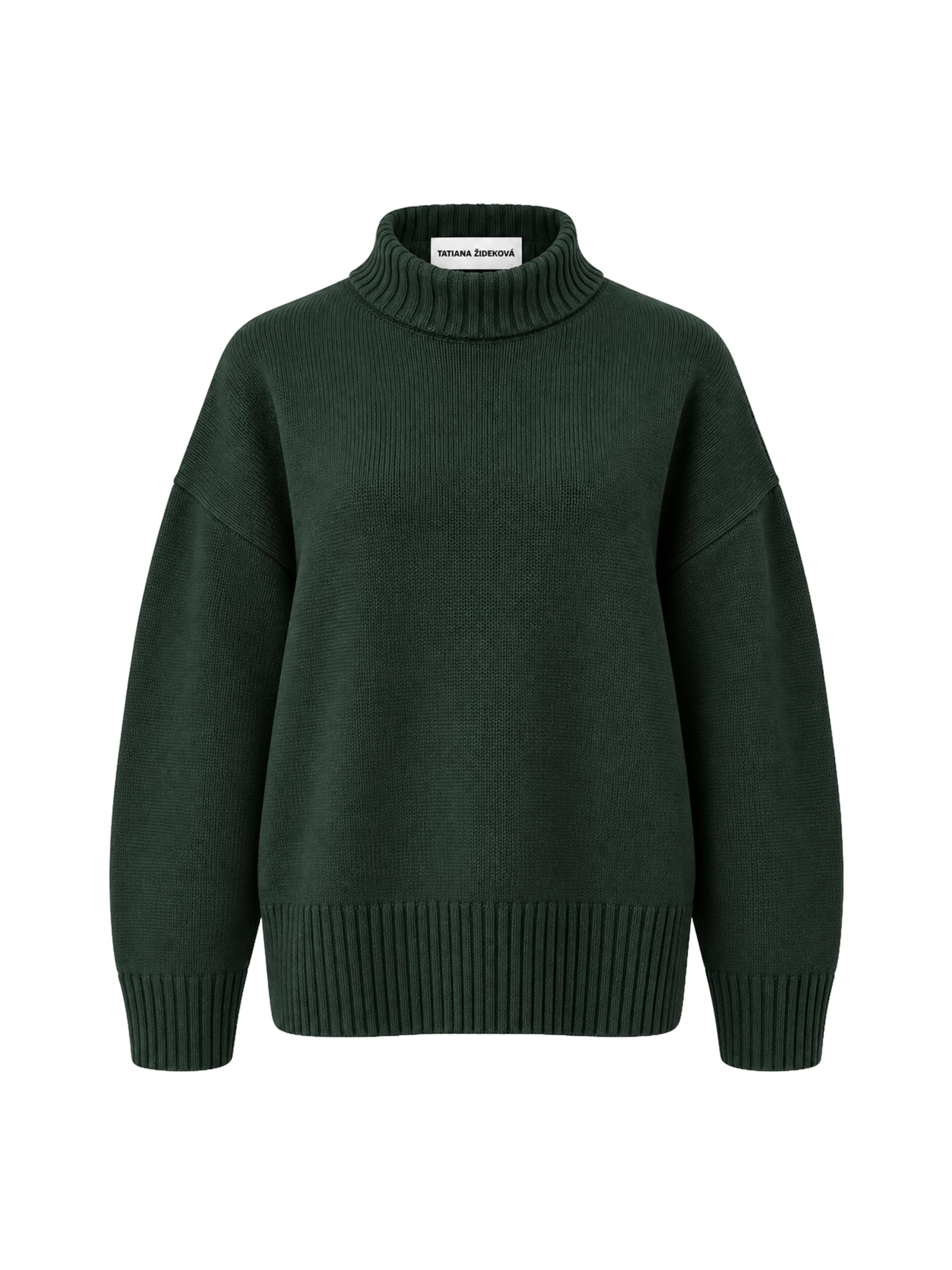 Tatiana Zidekova Sweater in Green: front