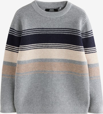 pilka Next Megztinis: priekis