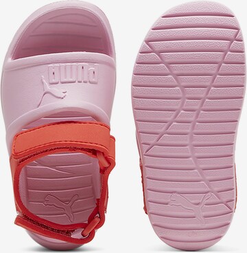 PUMA Sandals 'Divecat v2 Injex' in Pink
