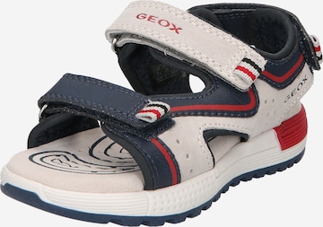 GEOX Sandals & Slippers 'Alben' in Grey: front