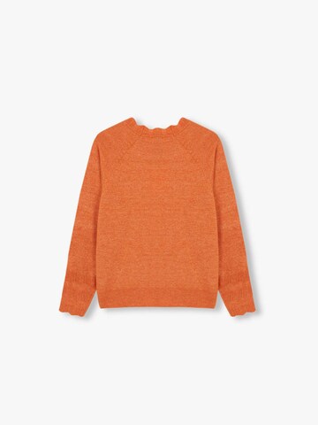 Scalpers Sweater 'Tran R' in Orange