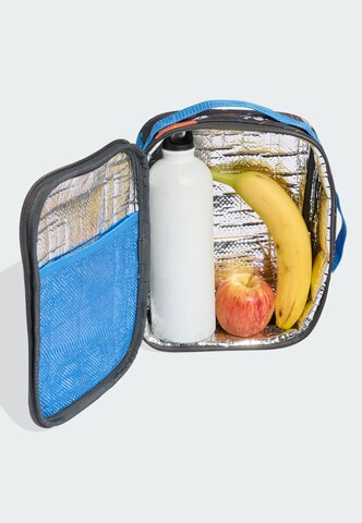 Sac de sport 'Tiro_Nster' ADIDAS PERFORMANCE en gris