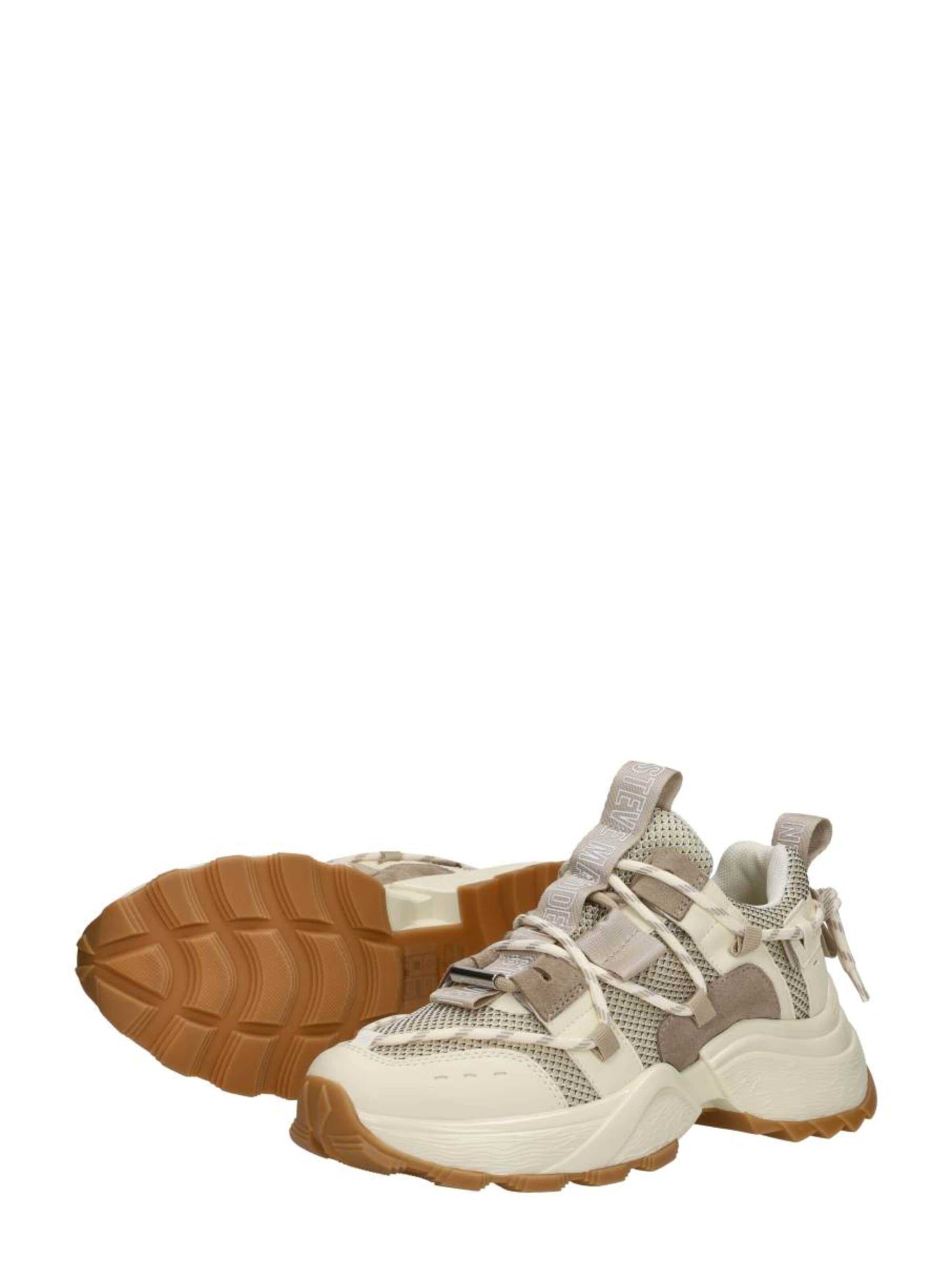 STEVE MADDEN Sneakers 'Tazmania' in Beige