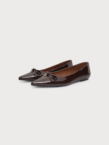 Anna Field Ballet Flats in Brown