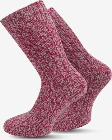normani Socks in Pink: front