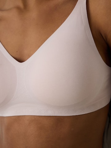 Penti Nedrček 'BHs & Bralettes' | vijolična barva